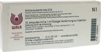 ARNICA E Planta tota D 12 Ampullen