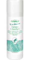 TEEBAUM SHAMPOO & Duschgel Tube