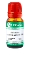 ADIANTUM CAPILLUS veneris LM 12 Dilution